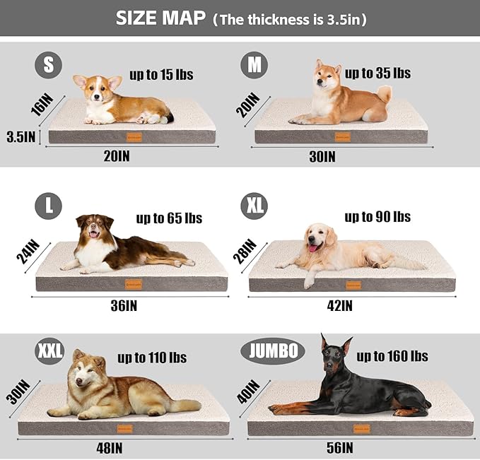 Patas Lague Orthopedic XL Dog Bed for Large Dogs 42''X28'', Soft Comfortable Waterproof Egg Crate Foam Big Large Pet Beds Mat with Removable Washable Cover, Ivory