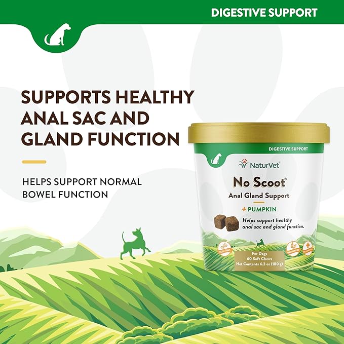 NaturVet - No Scoot for Dogs - 60 Soft Chews - Plus Pumpkin - Supports Healthy Anal Gland & Bowel Function - Enhanced with Beet Pulp & Psyllium Husk