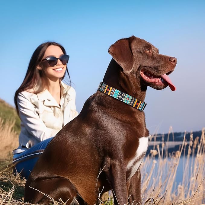 Timos Dog Collar, Adjustable Soft Dog Collar for Small Medium Large Dogs, Patterned Puppy Collars with Quick Release Buckle for Boy and Girl Female Dogs,XS Length 8.5''-11''