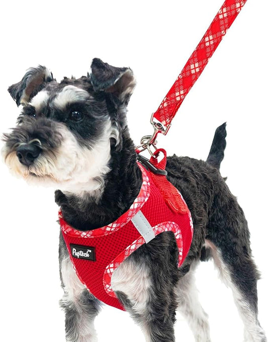 PUPTECK Dog Harness and Leash Set for Small Medium Dogs No Pull Step-in Soft Mesh Puppy Cat Vest Harnesses Reflective at Night, Red, S