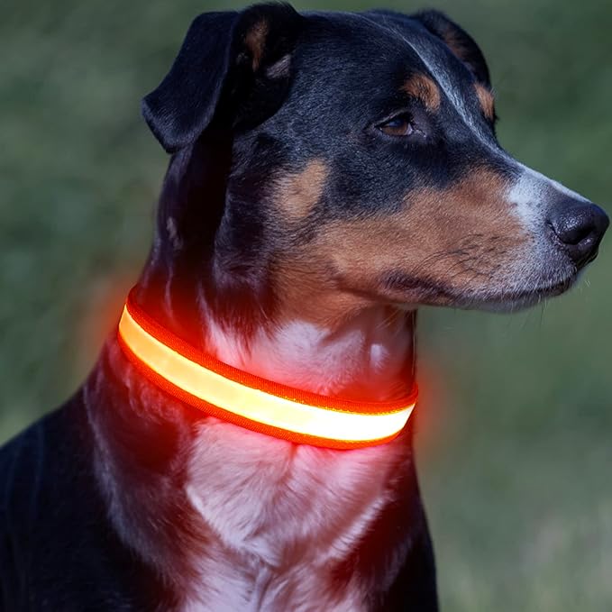 Vizpet LED Dog Collar, Light Up Dog Collar Adjustable USB Rechargeable Super Bright Safety Light Glowing Collars for Dogs(Medium,Orange)