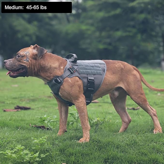 ICEFANG Tactical Dog Harness,Medium Size, 2X Metal Buckle,Working Dog MOLLE Vest with Handle,No Pulling Front Leash Clip,Hook and Loop Panel