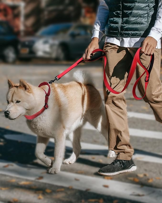 FunTags Reflective Martingale Collar for Dogs, Quick Release Buckle, 5FT Double Handle Dog Leash Padded, Dog Collar and Leash Set, Adjustable for Large Dogs (Red, L)
