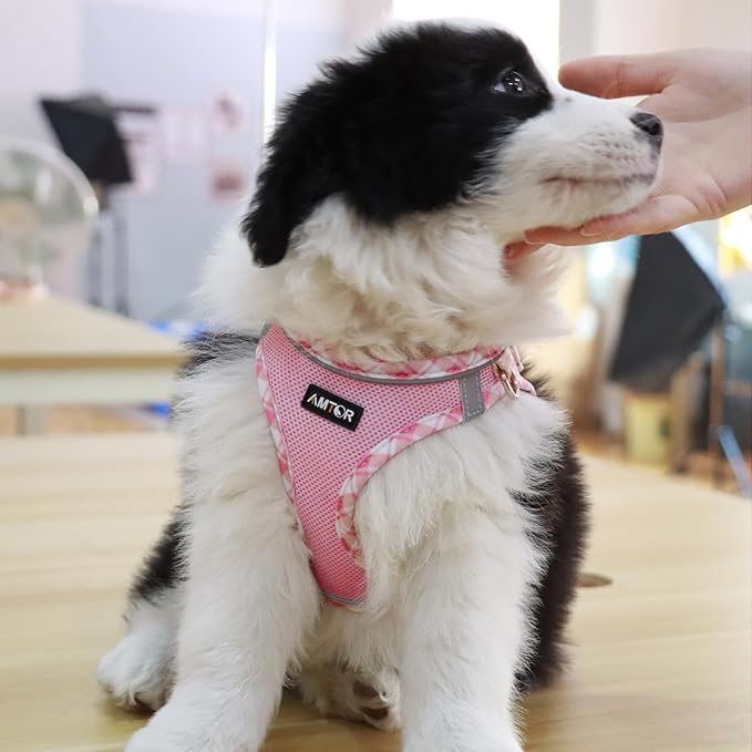 AMTOR Small Dog Harness with Leash Set, No Escape Easy Walk Puppy Harnesses for Training Walking, Step-in Reflective Soft Dogs Vest for XS S Medium Extra-Small Large Sized Dog(XXS Size,Pink/White)