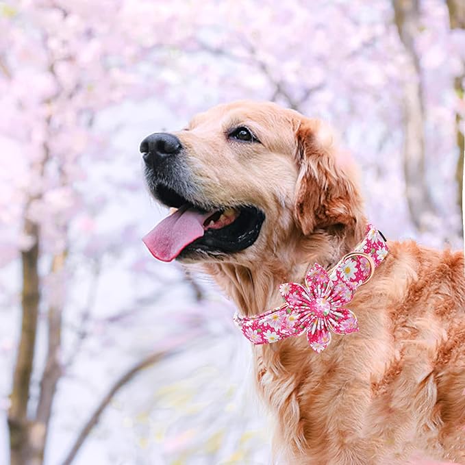 Elegant Little Tail Girl Dog Collar with Flowers - Pink Floral Pattern, Adjustable for X-Large Dogs