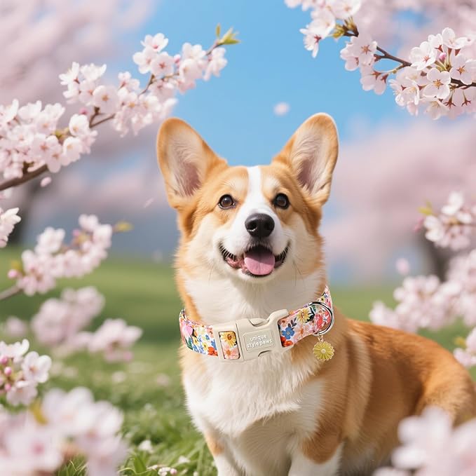 Unique style paws Dog Collar Plastic Buckle with Pendant Colorful Flower Puppy Collars for Small Medium Large Boys Girls Dogs