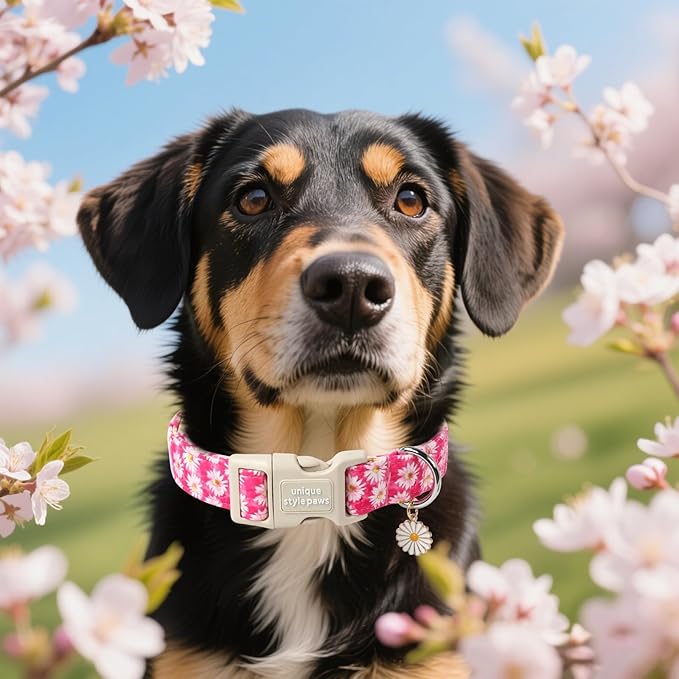 Unique style paws Dog Collar Plastic Buckle with Pendant Rose Daisy Flowers Puppy Collars for Small Medium Large Boys Girls Dogs