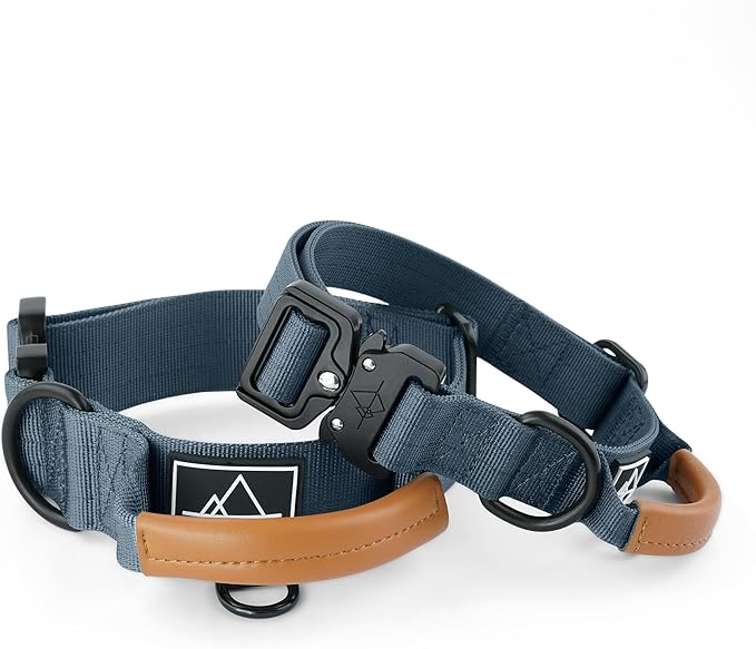 Made to ROAM Premium Explorer Control Collar - Adjustable Heavy Duty Nylon Dog Collar with Quick-Release Metal Buckle and Handle (Colorado Nightsky, Control Size 5)