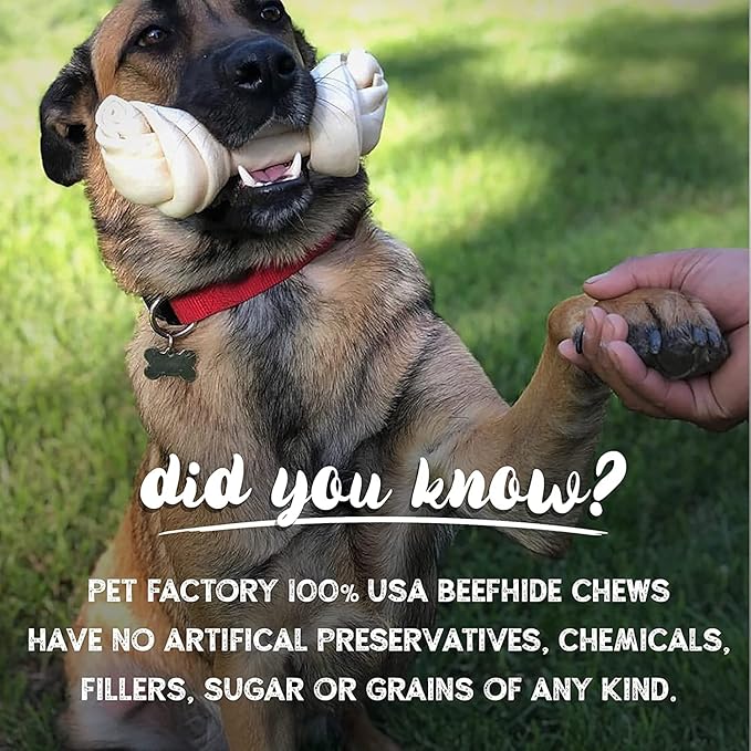 Pet Factory 100% Made in USA Beefhide 5" Chip Rolls Dog Chew Treats - Natural Flavor, 5 Count/1 Pack