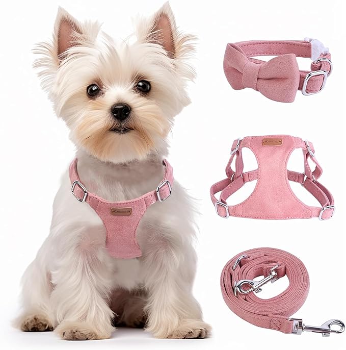 Dog Harness and Leash Set, XXS No Pull Adjustable Puppy Harness with Multifunction Pink Dog Leash and Dog Collar, Soft No Choke Escape Proof Pet Harness Vest for Small Dogs and Cats (Red, XXS)