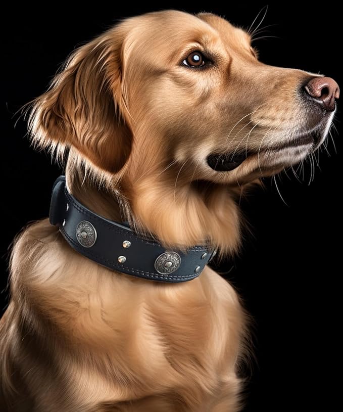 Leather Dog Collar, 2 inches Wide Heavy Duty Genuine Leather Collars, Handmade, Soft, and Luxury, Eye-catching Best Choice for Large and Medium Breed Dogs, Black 16.5-20.5 inches