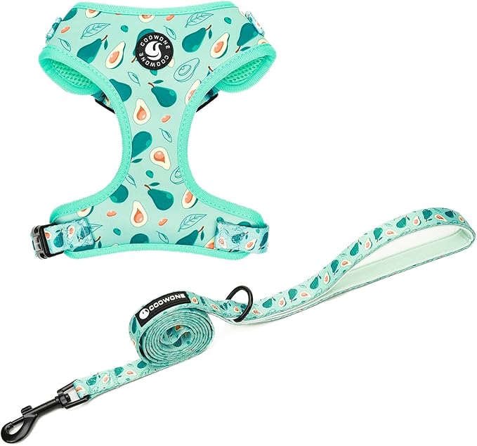 Dog Cat Harness and Leash Set, Puppia Soft Mesh Padded and Adjustable Puppy Vest Cute Dog Clothes Escape Proof Easy Walk Pet Accessories