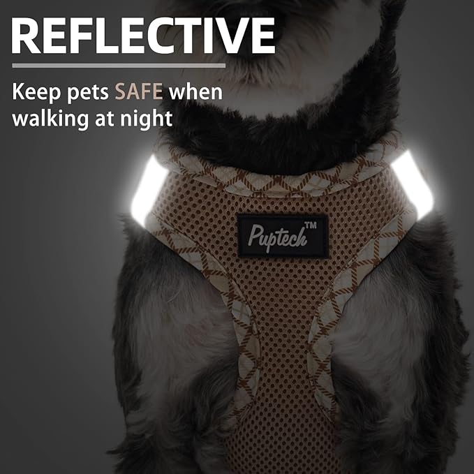 PUPTECK Dog Harness and Leash Set for Small Medium Dogs No Pull Step-in Soft Mesh Puppy Cat Vest Harnesses Reflective at Night, Beige XS