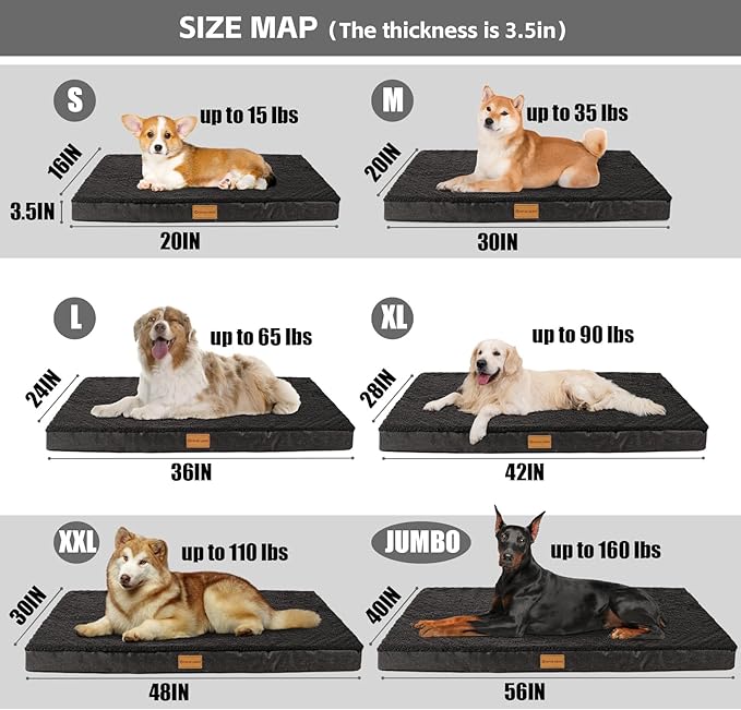 Patas Lague Orthopedic Dog Bed for Large Dogs, Soft Comfortable Waterproof Egg Crate Foam Medium Pet Beds Mat with Removable Washable Cover, 36''X24'' Black