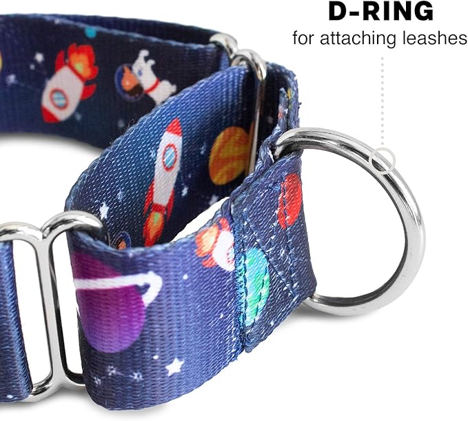 Downtown Pet Supply - Martingale Collar for Dogs - Dog Training Collar - Big, Wide & Thick Dog Collar - Escape-Proof, Weatherproof, Durable and Comfortable - Space - Medium Dog Collar