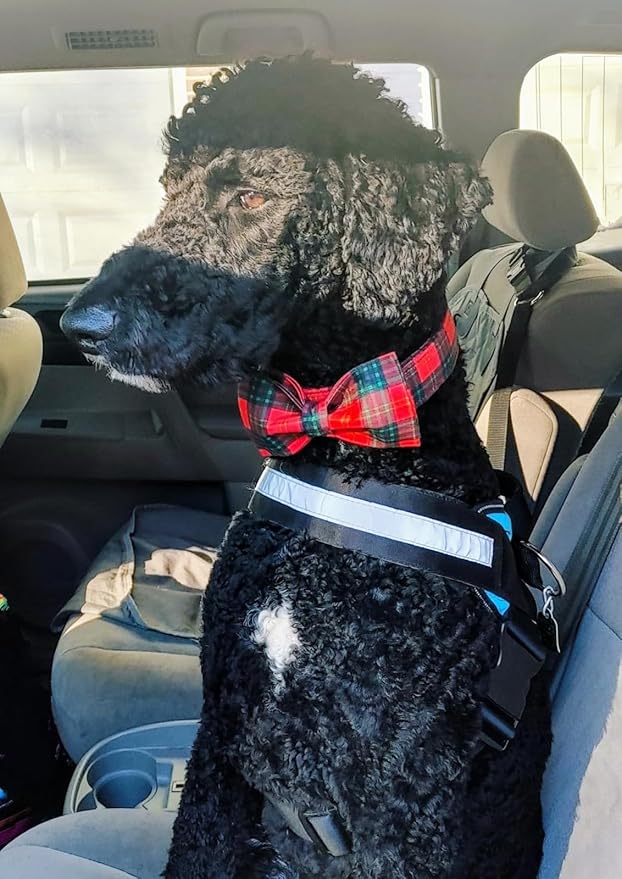 Lionet Paws Christmas Dog and Cat Collar with Bowtie,Soft and Comfortable,Adjustable Collar