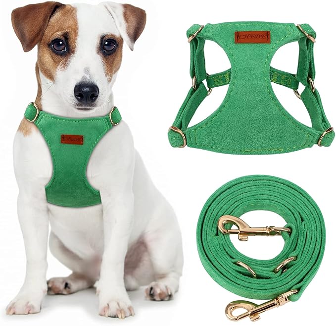 CHEDE No Pull Puppy Harness and Multifunction Dog Leash Set- 8 Colors Soft Adjustable No Choke Escape Proof Cute,Lightweight Pet Vest Harness for Small and Medium Dog (S, Green)