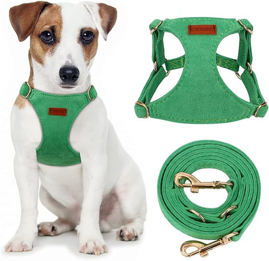 CHEDE No Pull Puppy Harness and Multifunction Dog Leash Set- 8 Colors Soft Adjustable No Choke Escape Proof Cute,Lightweight Pet Vest Harness for Small and Medium Dog (S, Green)
