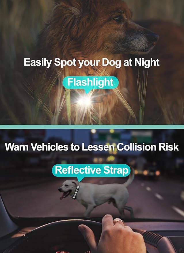 Dog Shock Collar 2 Pack - Dog Training Collar with Remote IP65 Waterproof E Collar for Dogs Training with Shock Vibrate Beep and Light Modes for Small Medium Large Dogs