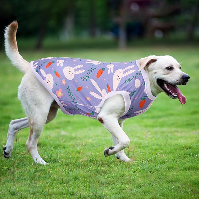 Paterr 25 Pcs Dog Shirts Printed Puppy Clothes Breathable Cartoon T Shirt for Dog Soft Puppy Clothing Lovely Pet Shirts Outfits for Pet Dogs Cats Summer Party Holiday, 25 Styles (Size: L)