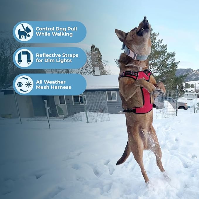 Dog Harness Dual Leash Attachment No-Pull Control Adjustable Soft but Strong Pet Harness for Medium and Large Dogs with 3M Reflective Technology - Harness Leash Set (Red Lattice), L