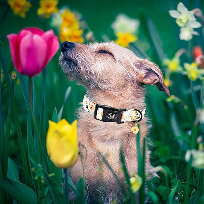 Elegant little tail Dog Collar, Flower Pattern Pet Collar Cute Durable Spring Female or Male Adjustable Cotton Pet Collar with Quick Release Buckle for Large Dogs