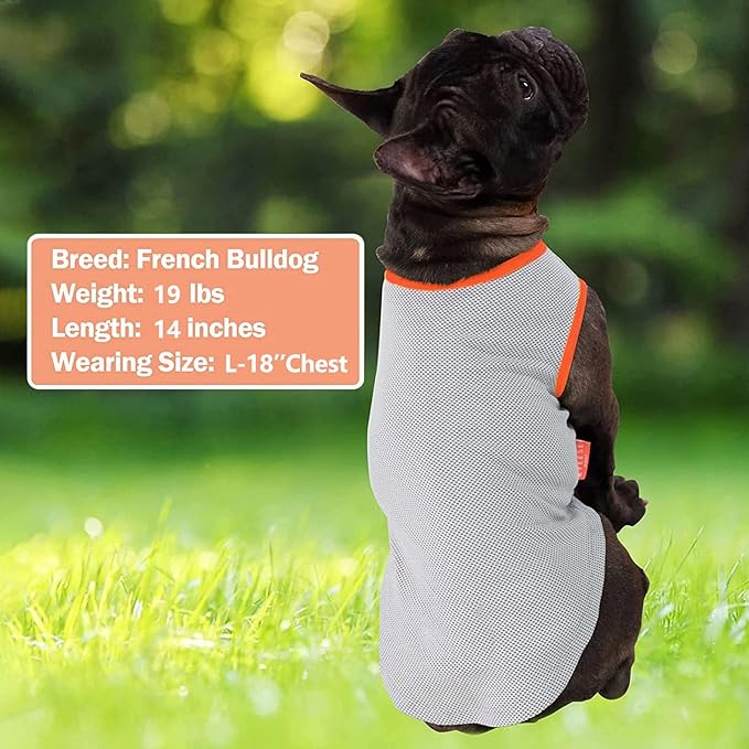 KYEESE 2 Pack Dog Cooling Shirts - Breathable Instant Cooling Vests, Lightweight for Summer Dog Apparel, Pink+Grey, XX-Large