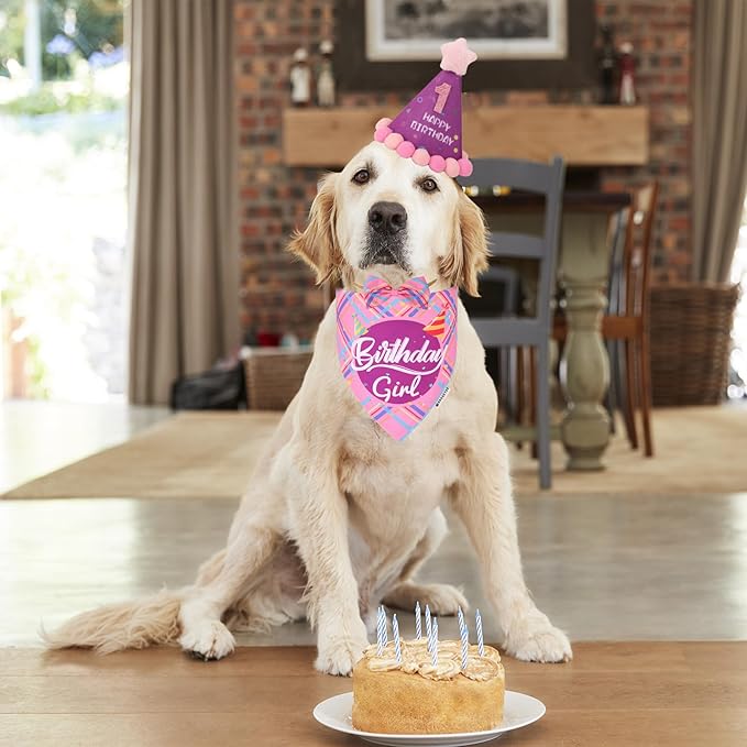 ADOGGYGO Dog Birthday Party Supplies, Pink Birthday Girl Pet Bandana Hat Bowtie Set for Medium Large Dogs (Large)