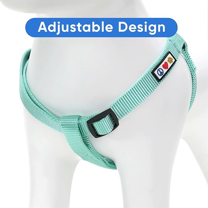 Pawtitas Step-in Dog Harness Solid Color Vest for Training & Walking, Puppy & Small Dog Teal