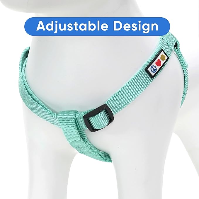 Pawtitas Step-in Dog Harness Solid Color Vest for Training & Walking, Puppy & Extra Small Dog Teal
