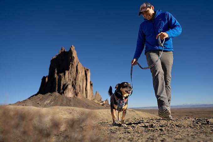 Ruffwear, Front Range Dog Leash, 5 ft Lead with Padded Handle for Everyday Walking, Sweeping Sage