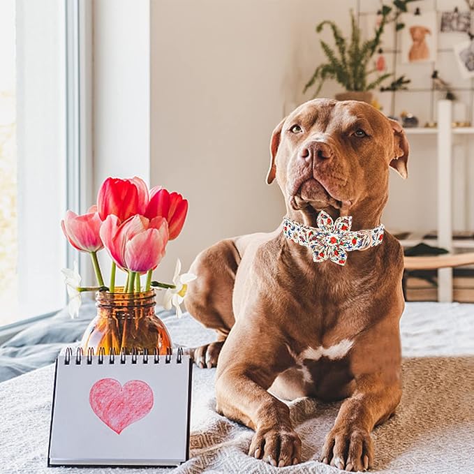 Elegant little tail Dog Collar, Girl or Boy Dog Collar Flower Pet Collar with Flower Customize Collar for Dog Adjustable Dog Collar for X-Small Dogs