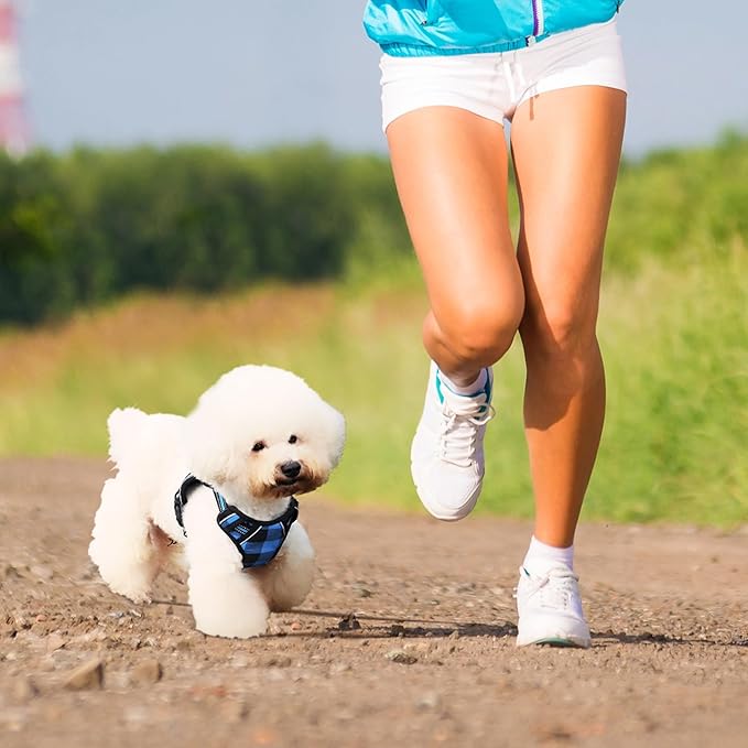 Dog Harness and Leash Set |Dog Vest Harness with 6 ft Multifunction Retractable Dog Leash | with One-Button Control,One-Handed Brake, Tangle Free (M)