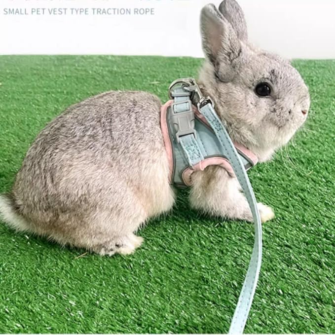 Rabbit Harness and Leash - Adjustable Bunny Harness Escape Proof for Walking Runnig Hiking Camping Outdoor - Cute Small Animal Harness Leash Set (Small)