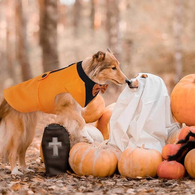 Kuoser Dog Tuxedo Suit and Bandana Set, Pumpkin Color Dogs Thanksgiving Outfit Adjustable Dog Halloween Costume with Bow Tie for Large Medium Small Dogs Golden Retriever Samo Bulldogs, XL