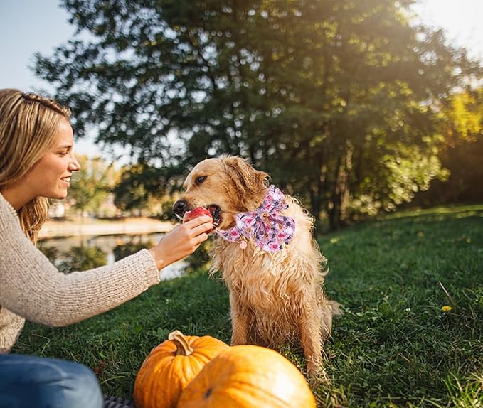 DOGWONG Fall Dog Collar with Bowtie - Fall Dog Collar Soft Cotton Autumn Dogs Necklace - Pink Halloween Puppy Necklace for Small Medium Large Dogs