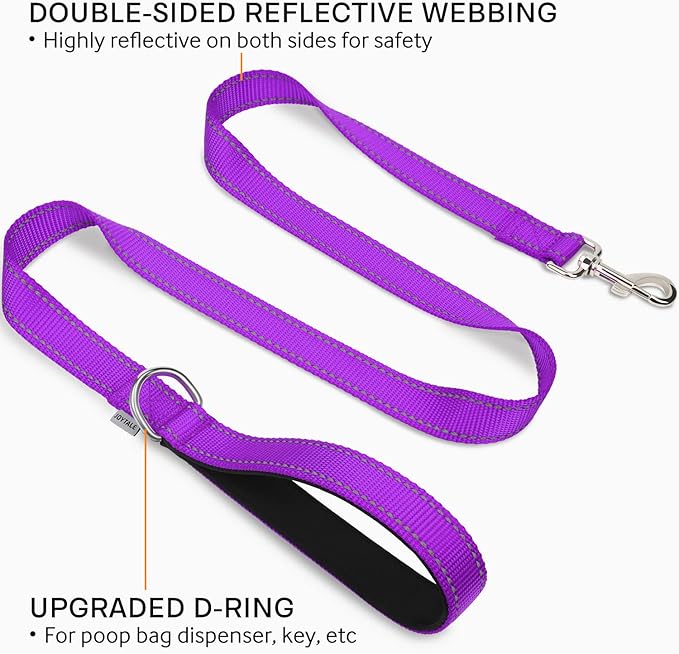 Joytale Double-Sided Reflective Dog Leash, 6 FT/5 FT/4 FT, Padded Handle Nylon Heavy Duty Leashes for Medium & Large Dogs Walking, Purple, 4FT