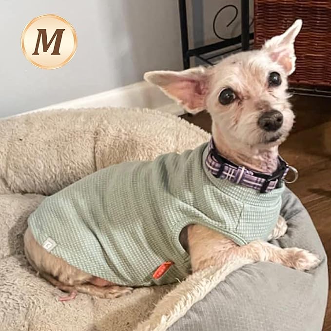 KYEESE 2Pack Waffle Dog Shirts for Small Dogs Stretchy T-Shirts Lightweight Tank Top Sleeveless Striped Vest Breathable Cat Tee, Medium, Green+Striped