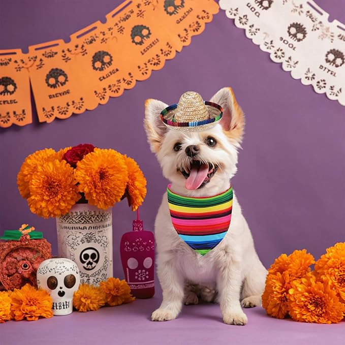 PUPTECK Mexican Day of The Dead Dog Bandana Outfit Scarf with Cute Doggy Sombrero Hat, Costume Decorations Supplies for Small Medium Large Dogs Boy Girl Gifts, Colorful