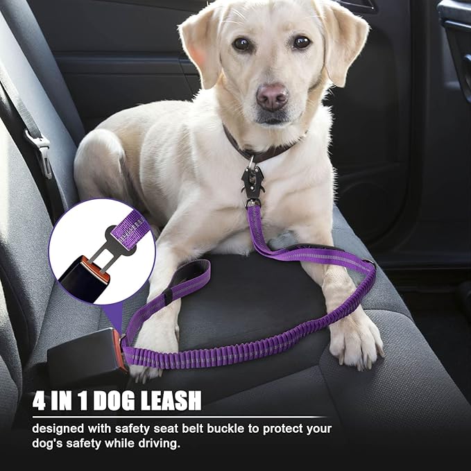 Raipult Shock Absorbing Tactical Dog Leash, 4-6FT Heavy Duty Bungee Leash, Anti-Pull Elastic Training Lead with Car Seatbelt & 2 Handles for Medium Large Dogs,Purple