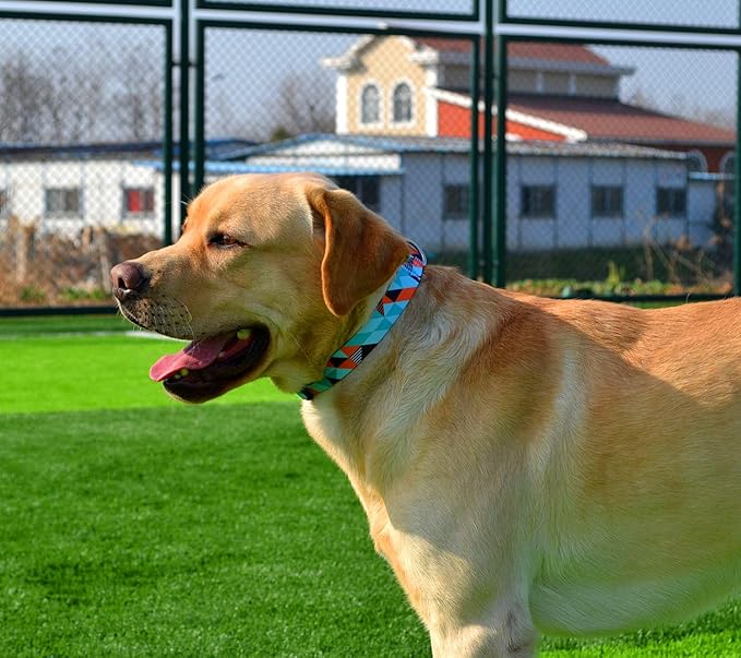 Dog Collar with Bohemia Floral Tribal Geometric Patterns - Soft Ethnic Style Collar Adjustable for Small Medium Large Dogs(Geometry,M)