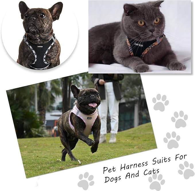 AMTOR Small Dog Harness with Leash Set, No Escape Easy Walk Puppy Harnesses for Training Walking, Step-in Reflective Soft Dogs Vest for XS S Medium Extra-Small Large Sized Dog(Pink,XS)