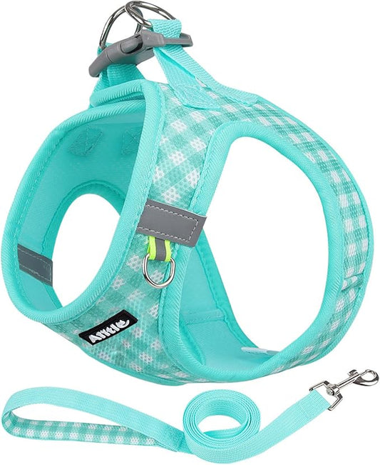 AIITLE Breathable Mesh Dog Vest Harness, No Pull Escape Proof Vest Harnesses with Reflective Bands, Adjustable Plaid Pet Outdoor Harnesses for Small and Medium Dogs Turquoise M
