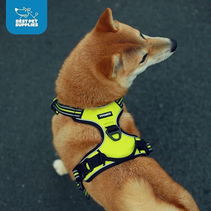 No Pull Dog Harness for Extra Small Dogs, Dual Leash Attachments, Adjustable Soft but Strong Pet Harness with 3M Reflective Technology, Turquoise Nylon, XS (Chest: 13-16")