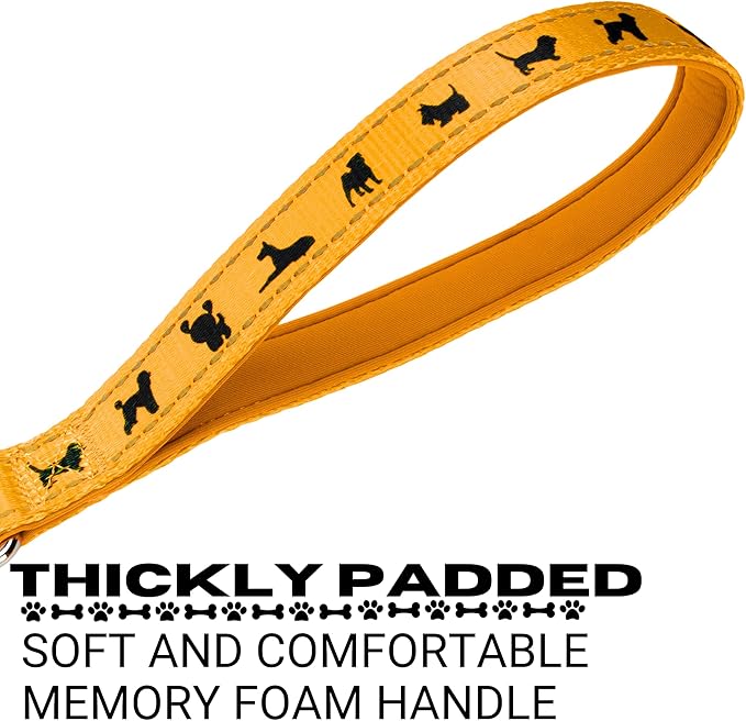 EcoBark Dog Leash - Soft & Reflective Comfort Training Leashes with Padded Handle - Strong Durable Heavy Duty - Training and Pulling for Small, Medium or Large Dogs (Yellow)