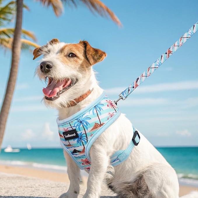 SCENEREAL Small Dog Harness and Leash Collar Set - No Pull Dog Harness for Small & Medium Sized Dogs - Soft Mesh Vest for Puppies, Chihuahua, Yorkie, Spring Summer Hiking Walking, Coconut Tree S
