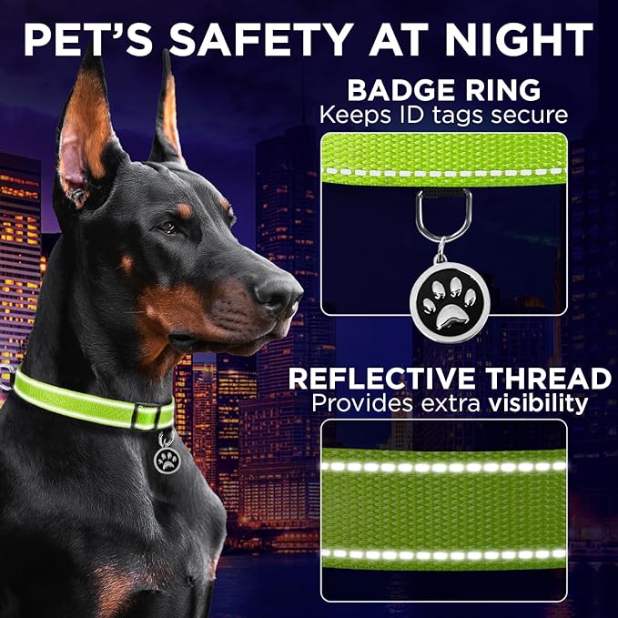 TECEUM Reflective Pet Collar – Acid Green – XXS – Extra Soft Padding – Basic Nylon Dog Collar – Quick Release Buckle – Fits Small, Medium and Large Dogs, Puppies, Cats – ESA & Service Dog Options