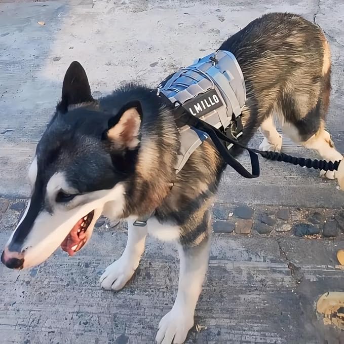 DIY Dog's Name & Everything Dog Harness Leash Set, Personalized No Pull Dog Vest, Custom Tactical Military Dog Harness & Retractable Leash, Outdoor Training Gear for Medium & Large Dogs (Gray, L)