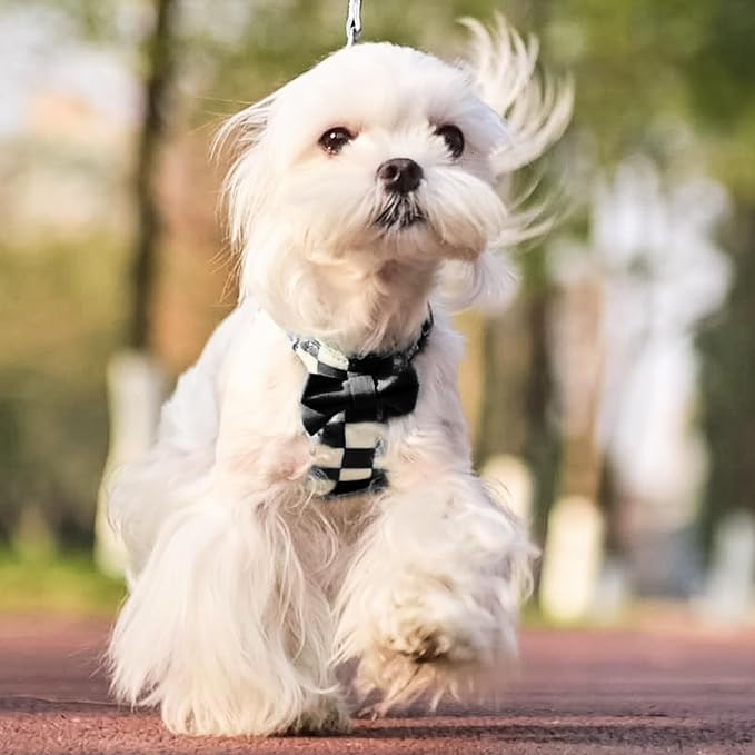 PUPTECK Dog Harness and Leash Set Small Sized, Step-in Cute Puppy Harness, Soft Lightweight Padded Vest, Escape Proof No Pull Pet Harnesses Easy for Walking, Plaid Black & White, XS