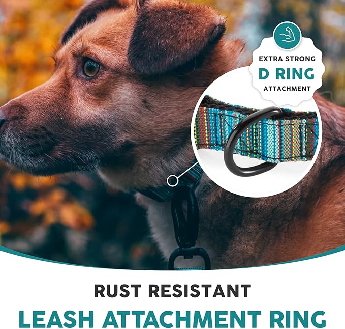 Embark Adventure Dog Collar – Stylish & Durable Nylon Dog Collars for Large Dogs, Comfortable Pet Collar, Collars for Large Breed Dogs with Strong Buckles. Adjustable Big Dog Collars for Large Dogs